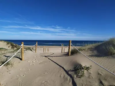 a sandy beach with a rope and the ocean at Hostal El Perelló, Valencia in El Perelló