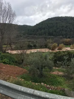 a view of a field with trees and a road at La casita de la dormilona in Algimia de Almonacid