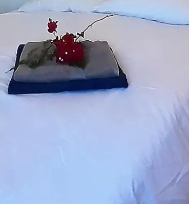 a vase with a flower on top of a bed at Casa Loro Loco B&B in Pedralba