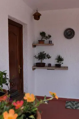 a room with some plants on shelves on the wall at Casa Loro Loco B&B in Pedralba