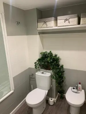 a bathroom with a toilet and a plant on top of it at Apartamento primera línea de playa in Port Saplaya