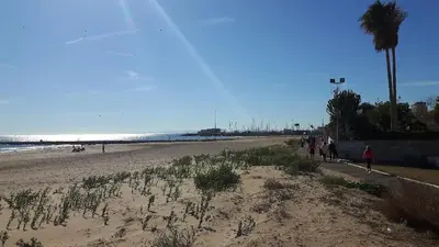 a beach with a palm tree and people walking on it at Apartamento estudio en playa Puig in Valencia