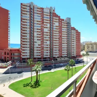 NUEVO