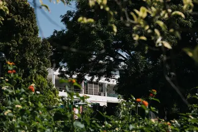 a white building behind some trees and bushes at Apartamento luminoso cerca del mar y la montaña in Puzol