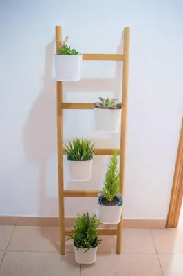 a wooden ladder with potted plants on it at Tranquilo y acogedor en el centro de la ciudad in Valencia
