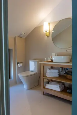 a bathroom with a toilet and a sink and a mirror at Los Canilleros in Requena