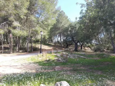 a street light in a park with trees and flowers at Villa Conchin Casa junto a Parque Natural in Alberique