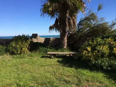 a bench sitting in the grass next to a palm tree at Beach House Villa Roca in Cullera