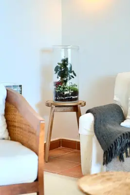 a glass bowl with a plant in it sitting on a table at Casa frente al mar con piscina privada in Sagunto