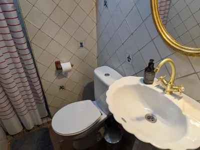 a bathroom with a white toilet and a sink at Ca'n Josep in Segorbe
