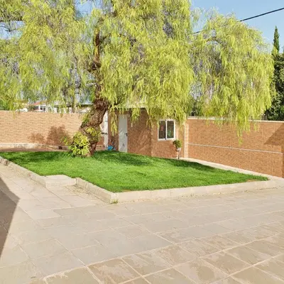 a tree in a yard next to a brick wall at Maravisa in Puebla de Vallbona