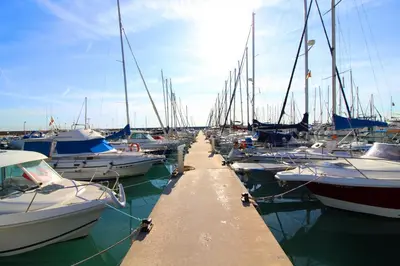 a beach with palm trees and a wooden boardwalk at Global Vacacional, Apartamento con buenas vistas en Canet playa in Canet de Berenguer