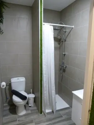 a bathroom with a toilet and a shower at Intimo y Acogedor 