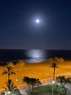 a beach at night with a moon over the ocean at 1a línea con PISCINA Nuevo in Cullera