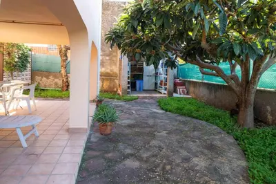 a patio with a tree and a table and chairs at FLORIT FLATS - The Orange Lemon Tree House in La Eliana
