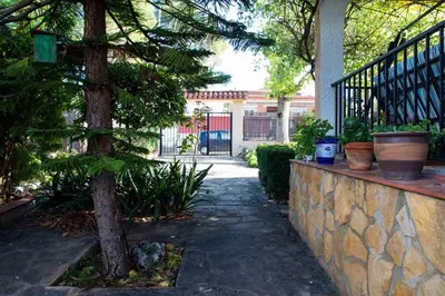 a tree in a yard next to a stone wall at FLORIT FLATS - The Orange Lemon Tree House in La Eliana