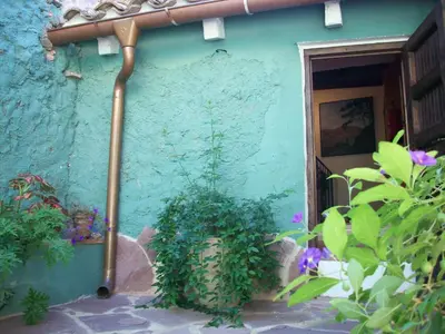 a plant in a pot next to a blue wall at Casa de Pueblo El Patio de las Cebollas in Segorbe
