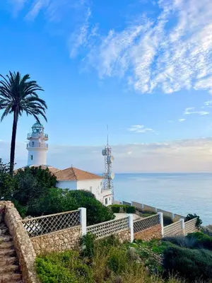 a building with a palm tree in front of it at Apartamento Mar y Montaña in Cullera