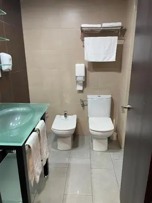 a bathroom with a toilet and a sink at Hotel Ruta Romana in Sagunto