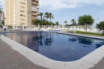a large swimming pool in a building with palm trees at Nereidas, A-2, 1-2 in Cullera
