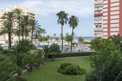 a view of a park with palm trees and buildings at Nereidas, A-2, 1-2 in Cullera