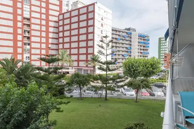 a view of a park with trees and buildings at Nereidas, A-2, 1-2 in Cullera