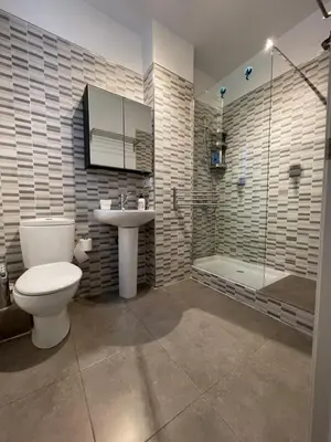 a bathroom with a toilet and a sink and a shower at 2 Apartamento TERRAZA Free Wifi in Valencia