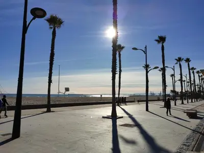 a row of palm trees on a sidewalk near the beach at NON STRESS First Level in Valencia