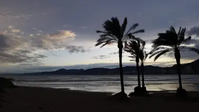 two palm trees on a sandy beach near the ocean at APPARTEMENT VUE MER 40 METRES DE LA PLAGE in Cullera