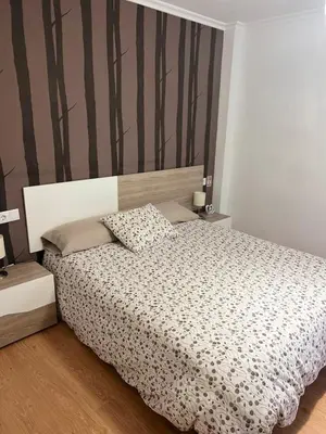 a bedroom with a bed with a black and white comforter at BioHomeValencia in Valencia