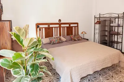 a bedroom with a bed and a plant in it at Apartamento a 400m de la playa, Puerto de Sagunto in Puerto de Sagunto