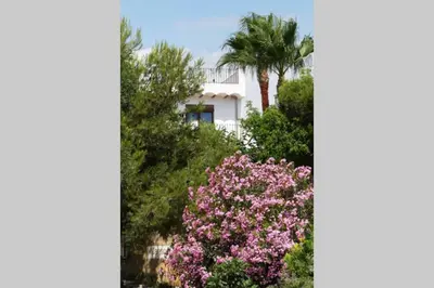a palm tree and pink flowers in front of a white building at Ca Buganvilla. El corazón de la huerta valenciana in Meliana