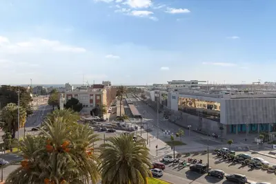 a city street with cars and palm trees and buildings at Your home at Valencia, Marina Real in Valencia