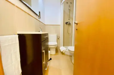 a bathroom with a toilet and a sink and a shower at Acogedor apartamento centro histórico Valencia in Valencia