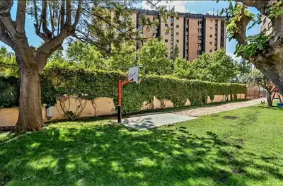 a flag in the grass next to a building at Palau 2 in Valencia