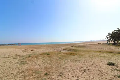 an empty beach with palm trees on the horizon at Global Vacacional, Ático con 2 terrazas en la playa Puerto de Sagunto in Puerto de Sagunto