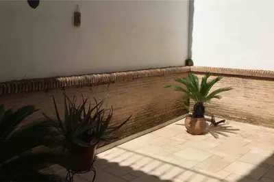 two plants sitting on a tiled floor in a room at Casa de Pueblo en Navarres in Navarrés