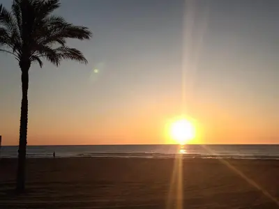 a palm tree on the beach at sunset at Apto POSEIDON CON PARKING EN EDIFICIO SUBTERRANEO in Cullera
