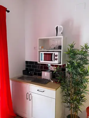 a kitchen with a counter with a microwave and a plant at COOL LOFTS center valencia in Valencia