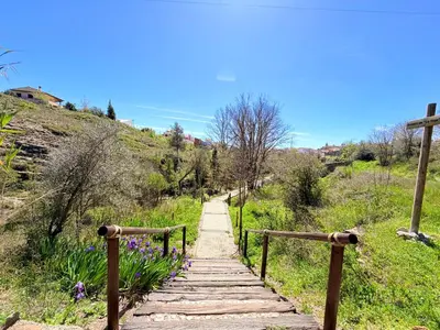 a dirt road with trees on both sides at Villabett Caudiel está de moda in Caudiel
