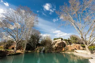 a pool of water with trees and a waterfall at CASA BAUTISTA - ROTGLÀ in Rotglá y Corbera