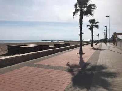a palm tree on a sidewalk next to the beach at Precioso adosado con parking a 100 metros de la playa in Playa de Mar