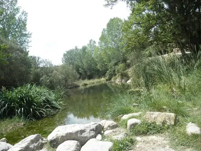 a river with rocks and trees on the side at Casa Arminda in Benafer