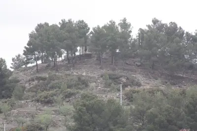 a hill with trees on top of it at Casa Arminda in Benafer