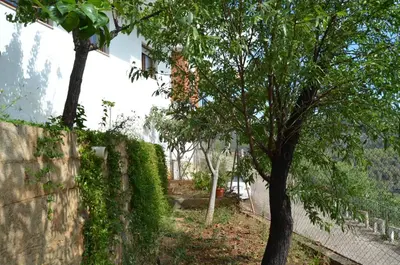a wall and a tree next to a fence at Casa el Castell in Eslida