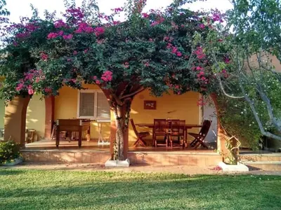 a house with a table and a tree with pink flowers at Casa buganvilla in Almarda