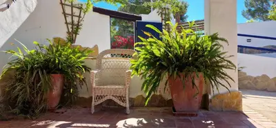 a wicker chair sitting between two potted plants at Casa Azahara your Valencian Villa in Macastre