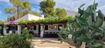 a house with a lot of plants in front of it at Casa Azahara your Valencian Villa in Macastre