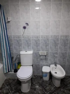 a bathroom with a toilet and a sink at Amplio piso en Sagunto in Sagunto
