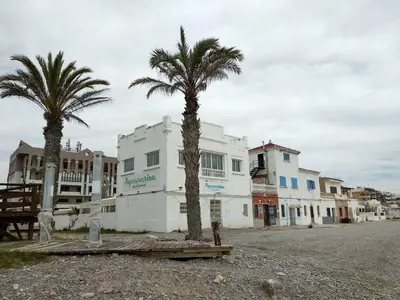 two palm trees in front of a white building at Apartamento acogedor en playa de Moncofa in Moncófar